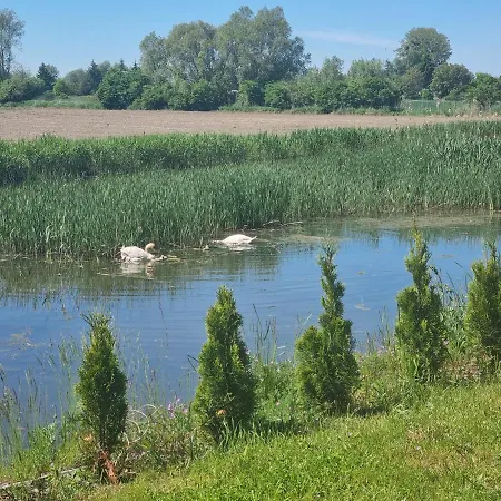 M&k Sailors Golden Yacht, - Wyspa Sobieszewska